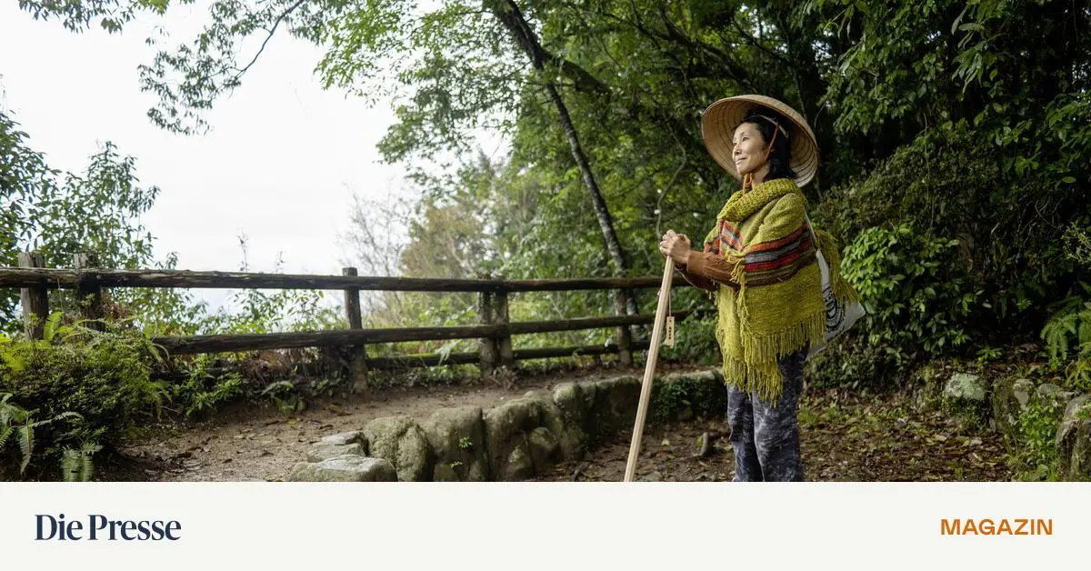 pilgerwandern-auf-japanisch-in-beseelter-natur-schreitet-die-erkenntnis-voran-premium
