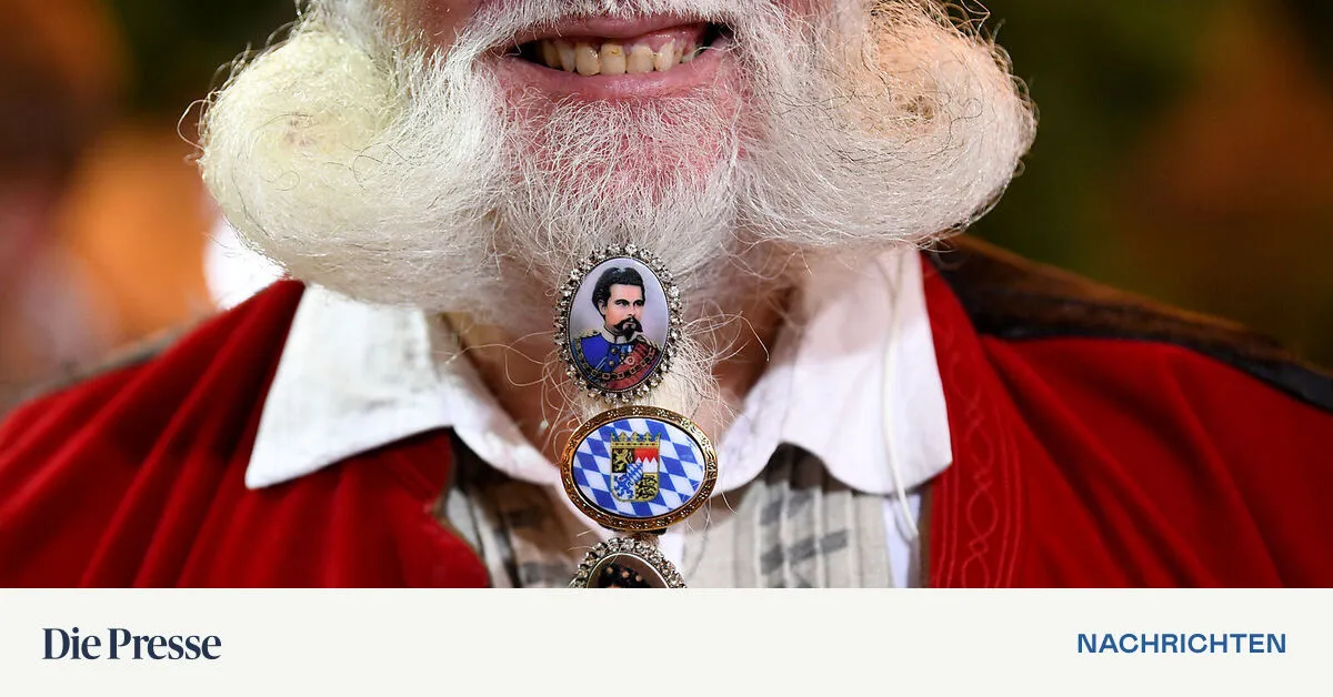 Die Afd Die Größte Angst Der Csu Diepresse