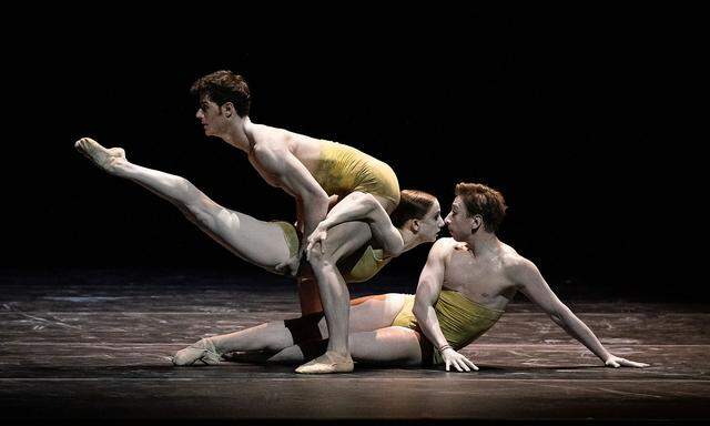 ++ HANDOUT ++ VOLKSOPER: BALLETT-PREMIERE 'HOLLANDS MEISTER'