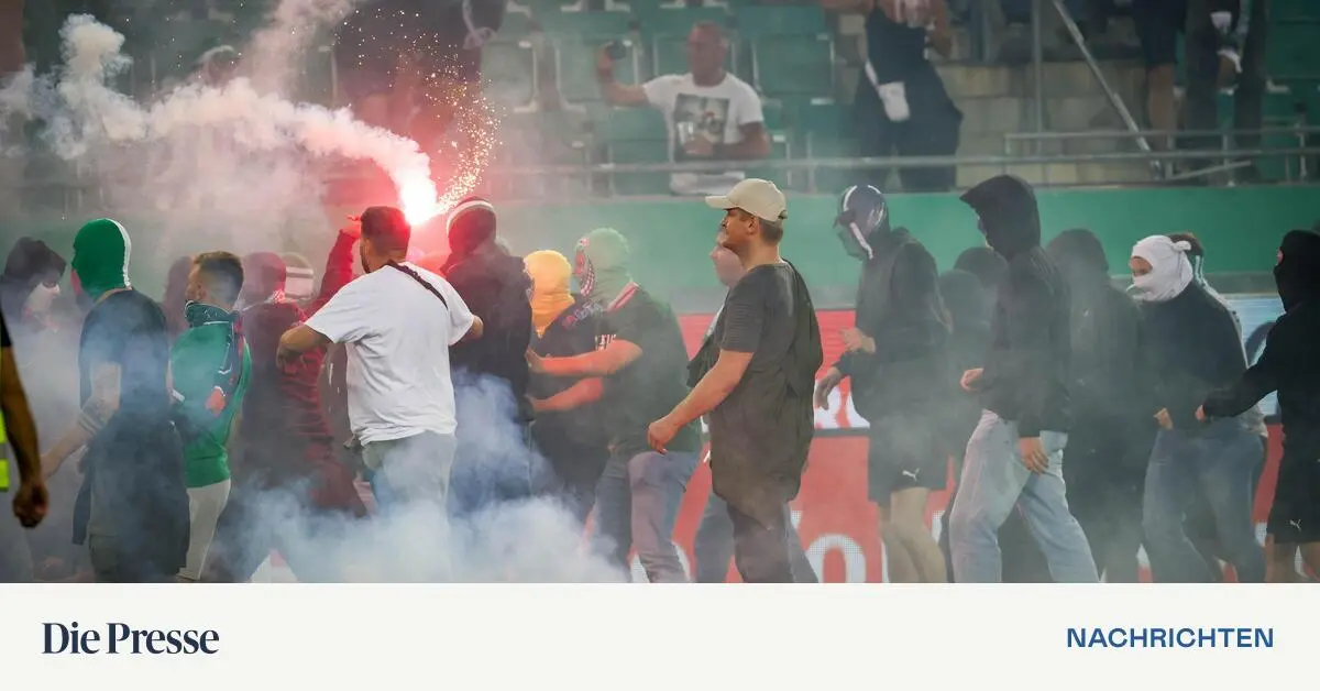 bedingte-haftstrafen-nach-platzsturm-bei-wiener-derby