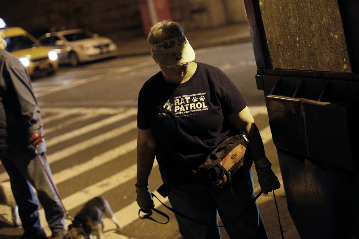 Die Ratten leben vom Müll der Millionenstadt.