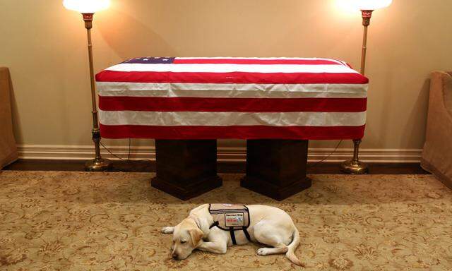 „Sully“, der Hund des verstorbenen ehemaligen US-Präsidenten George H. W. Bush, hält Wache bei dessen Sarg.