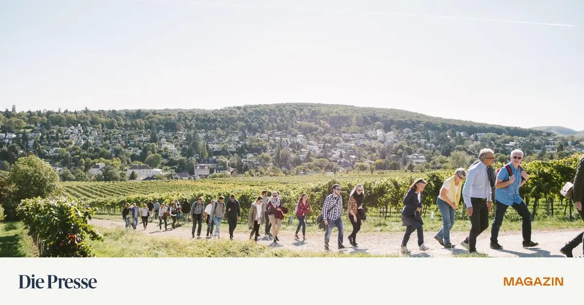 Kost-m-Flohmarkt-Flug-ins-All-und-Wiener-Wein-Was-man-im-September-in-Wien-nicht-verpassen-sollte-premium-