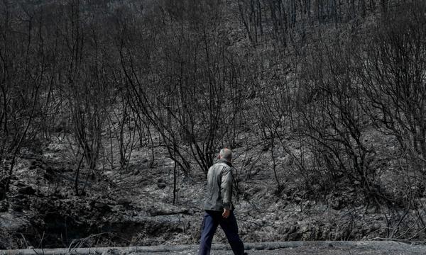 Ein Man auf der griechischen Insel Korfu. Dort wurden ebenso wie auf der Ferieninsel Rhodos tausende Urlauber in Sicherheit gebracht.