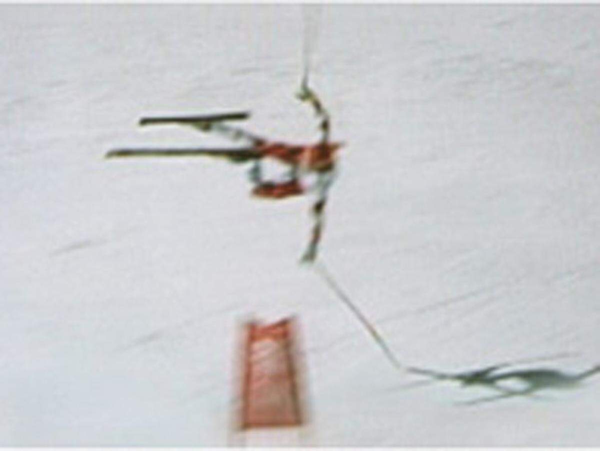 Hermann Maier bei den Olympischen Winterspielen 1998 in Nagano zur Feststellung von ÖSV-Herrenchef Werner Margreiter, dass er mit Gold nach seinem Horrorsturz in den Ski-Olymp aufgestiegen sei.