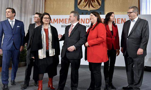 Die SPÖ-Stadträte (hier bei einer Pressekonferenz im Vorjahr) wollen am Montag in Frauenkirchen rote Leuchtturmprojekte vorstellen. 