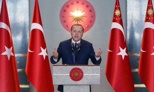 Der türkische Staatschef Recep Tayyip Erdoğan.