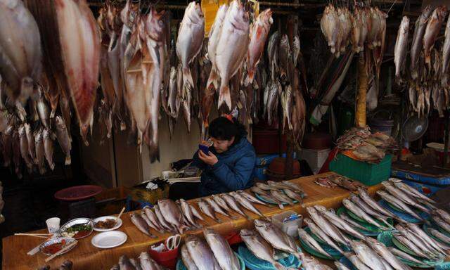 Meer. Noryangjin ist der Umschlagplatz für Fisch in den abenteuerlichsten Formen.