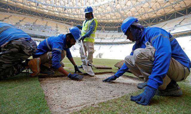 Arbeiter im Fußballstadion Lusail, das nördlich der katarischen Hauptstadt Doha liegt, bereiten den Rasen für das Großereignis Fußball-WM vor.  