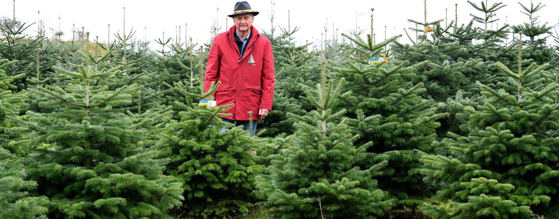 Franz Raith beim Besuch in seiner Plantage im Waldviertel.