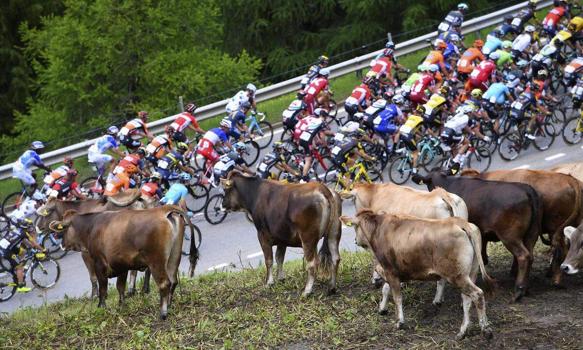 Der etwas andere Zuschauerandrang bei der Tour de Suisse.