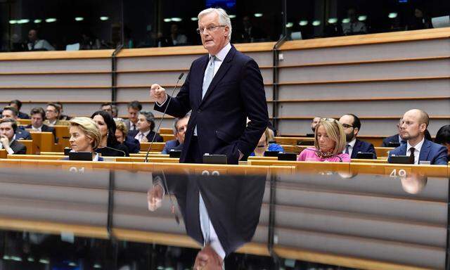 Chefverhandler Michel Barnier am Mittwoch im EU-Parlament