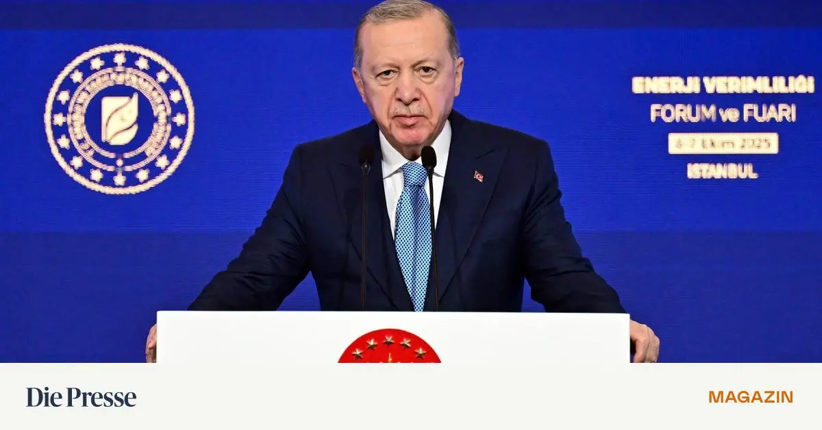 -In-der-AKP-k-mpft-jeder-gegen-jeden-Der-Kampf-um-die-Nachfolge-von-Erdo-an-ist-er-ffnet-premium-