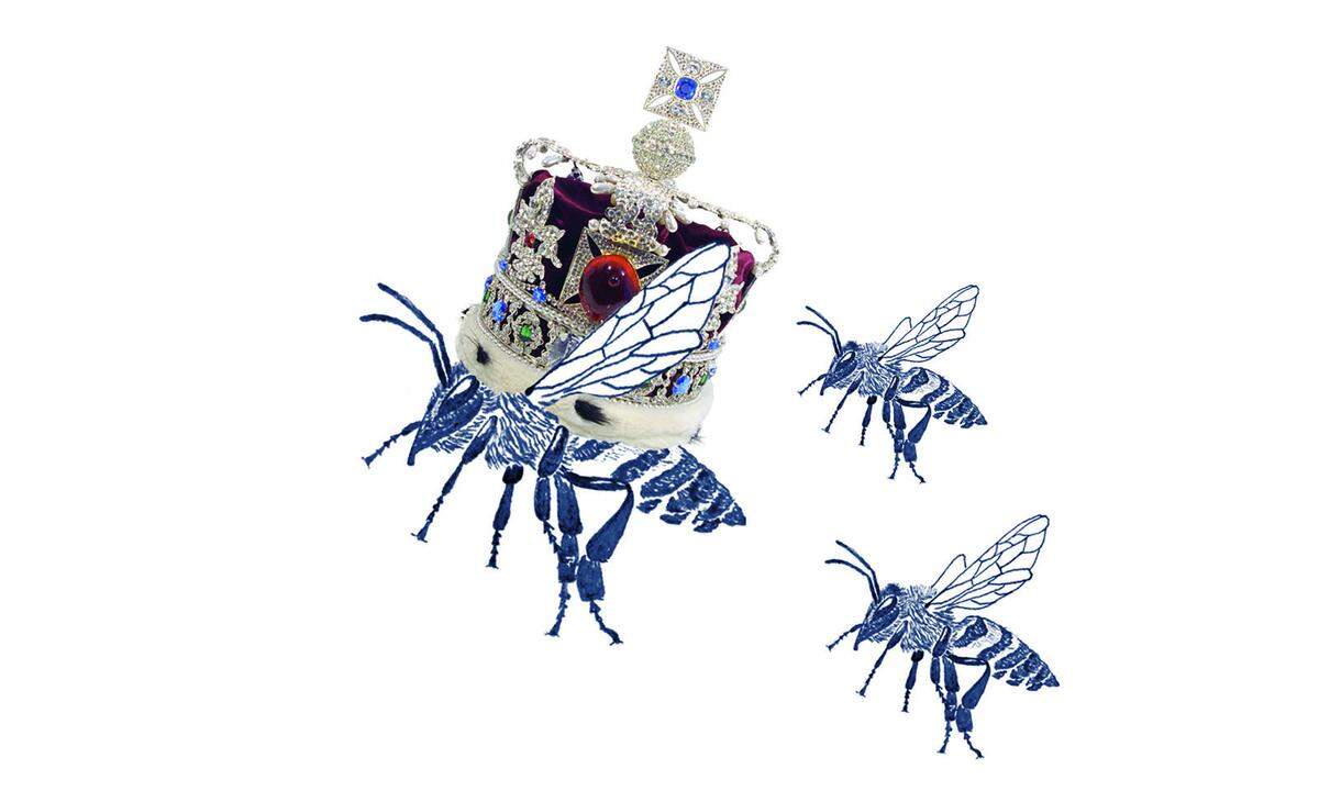 „Du kannst mich Bienenkönigin nennen, und Baby, ich werde regieren.“ Die Auflösung:"You can call me Queen BeeAnd baby I'll rule (I'll rule I'll rule I'll rule)" aus "Royals" von Lorde. Illustrationen von Nina Ober