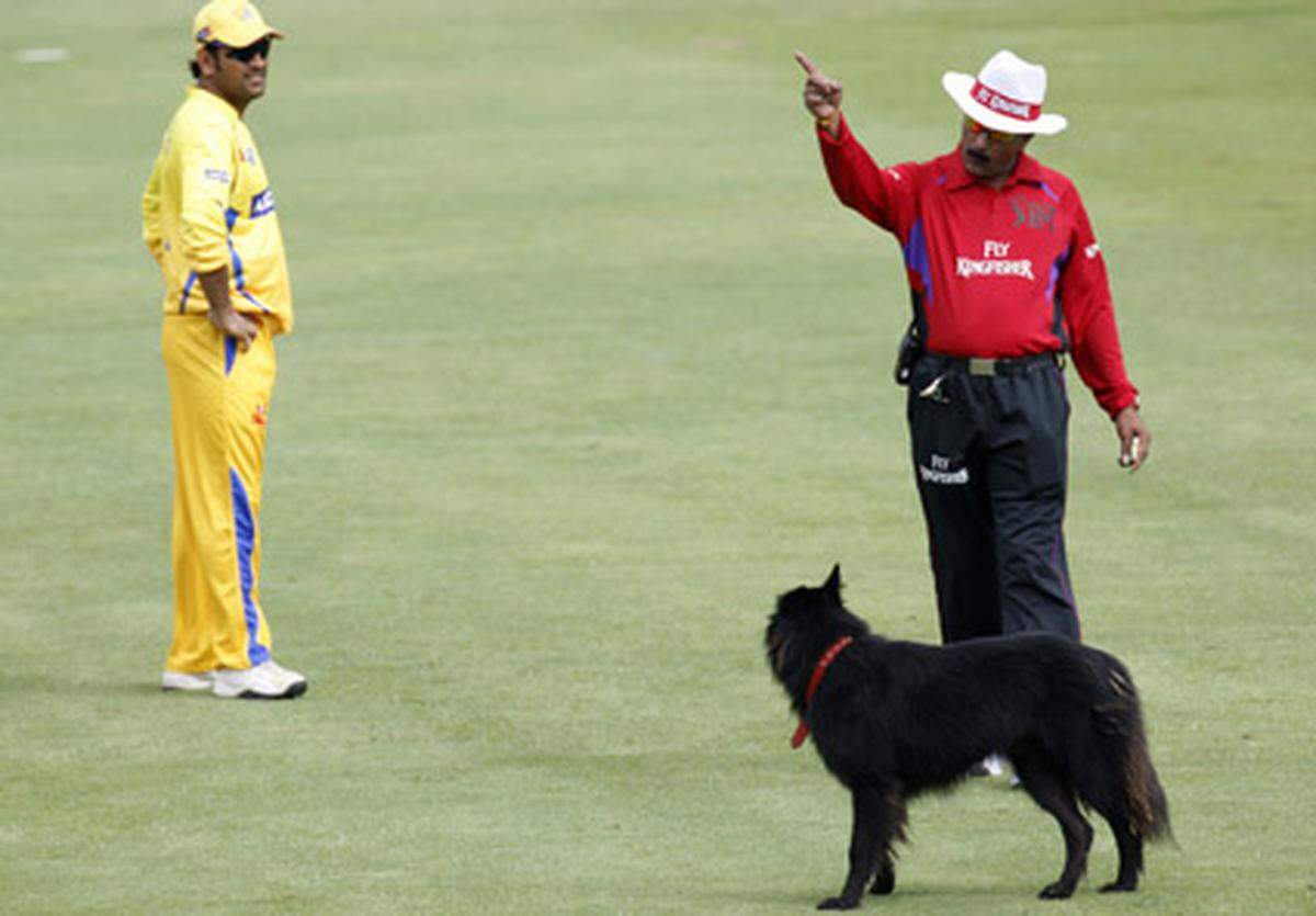 Platzverweis: Der indische Schiedsrichter Krishna Hariharan duldet keine Hunde auf seinem Cricket-Feld.