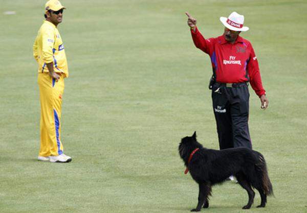 Platzverweis: Der indische Schiedsrichter Krishna Hariharan duldet keine Hunde auf seinem Cricket-Feld.