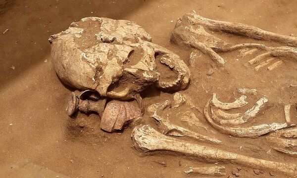 Mittels DNA-Analyse soll mehr über den Toten ermittelt werden. (Symbolfoto)