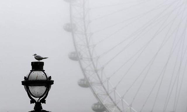 A seagull sits on top of a lamp post, in front of the London Eye, during a foggy morning in central London