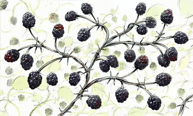 Illustration: Vinzenz Schüller