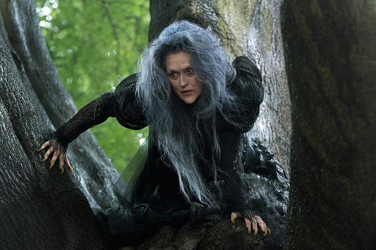 Die erste von zwei Märchenverfilmungen in diesem Jahr. "Into the Woods" vermischt dabei bekannte Stoffe (Rotkäppchen, Rapunzel und Aschenputtel). Meryl Streep wurde für ihre Rolle der Hexe sowohl für einen Golden Globe, als auch für einen Oscar nominiert.