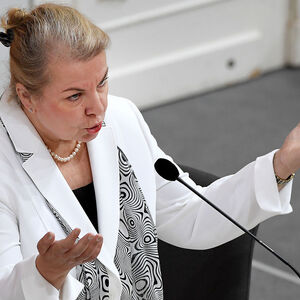 NATIONALRAT: HARTINGER