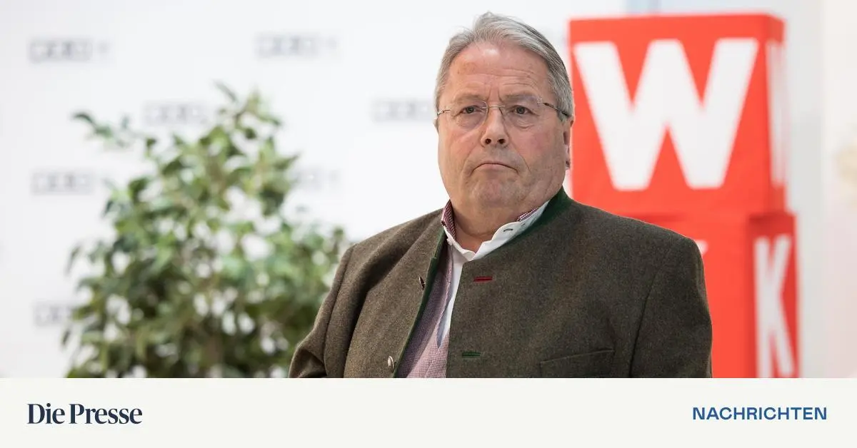 Nationalrat-Susanne-Raab-geht-Franz-H-rl-kehrt-zur-ck