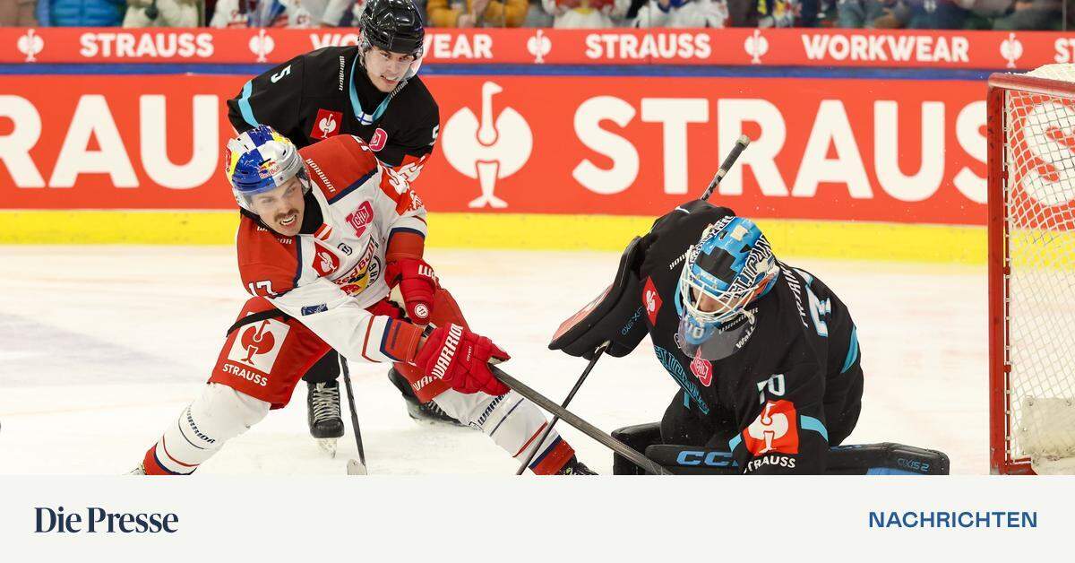 champions-league-salzburg-feiert-ein-kleines-eishockey-wunder