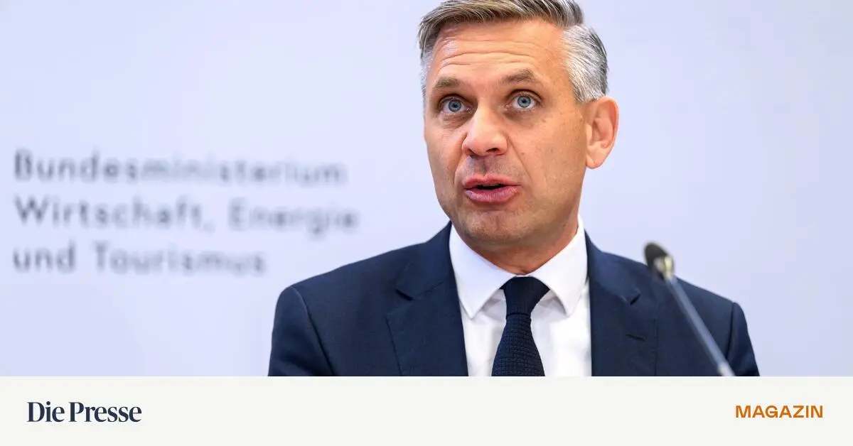 Neue-bag-Strategie-Die-Staatsholding-soll-zur-Standortholding-werden-premium-