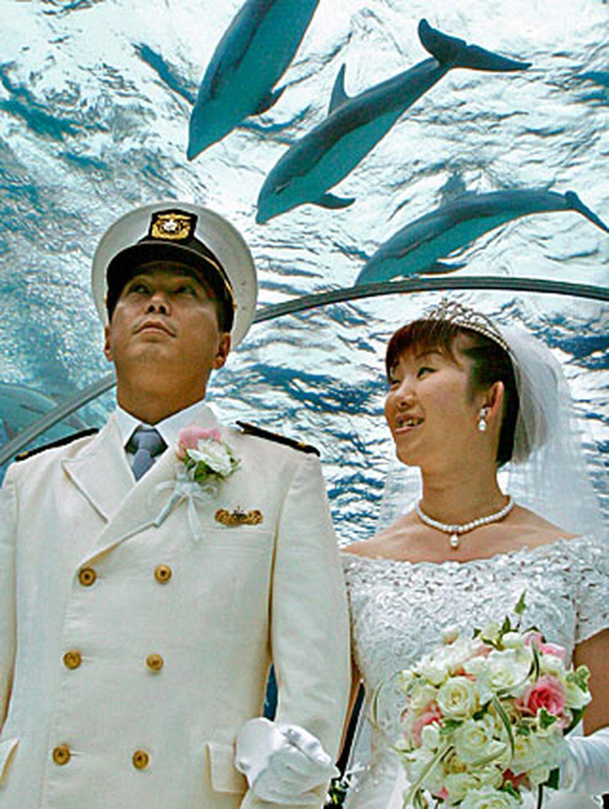Takahiko Kawada arbeitet für die japanische Küstenwache und will auch während seiner Eheschließung mit Harue Suzuki nicht gänzlich von seinem Job ablassen. So wird bei der Hochzeitszeremonie das Riesen-Aquarium in Tokio durchschritten.