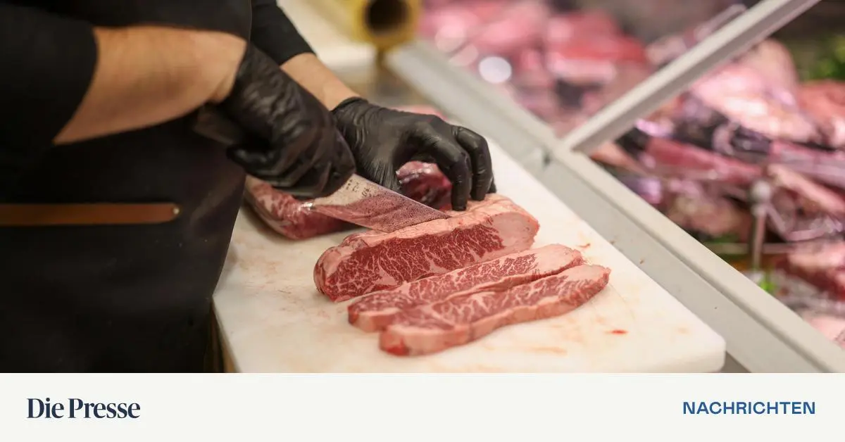 Verunreinigtes-Fleisch-l-st-in-Frankreich-Krankheitsserie-bei-Kindern-aus
