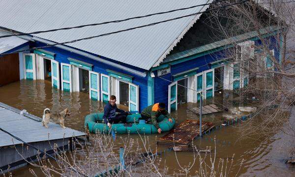 Ein Hund ist auf einem Hausdach im russischen Orenburg gestrandet.