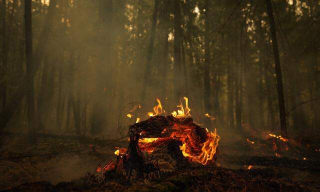 In Kanada wüten zurzeit schwere Waldbrände.