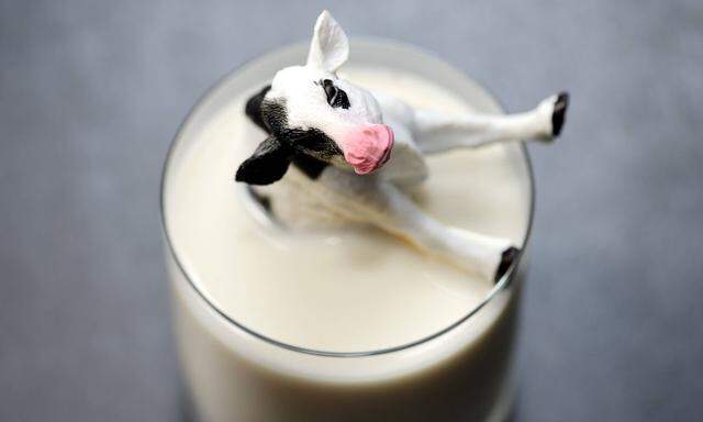Miniaturkuh versinkt in einem Milchglas niedrige Milchpreise