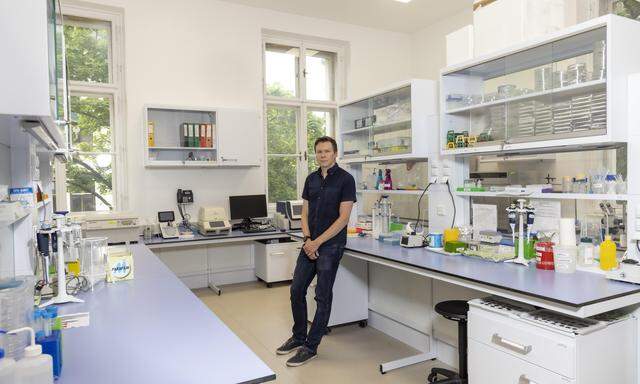 An der Uni Graz war Matti Leponiemi der Erste, der eine Ameisenzucht installierte.