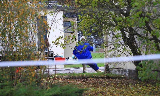 In Deutschland - wie hier in einem Putenzuchtbetrieb in Heinrichswalde in Vorpommern - ist die Vogelgrippe ebenso ausgebrochen wie in den Niederlanden auch auch in Großbritannien.