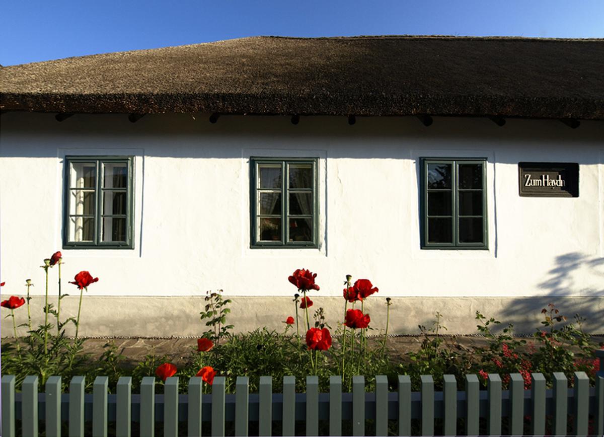 Im niederösterreichischen Rohrau befindet sich das Geburtshaus der bedeutenden Komponisten-Brüder Joseph und Michael Haydn.
