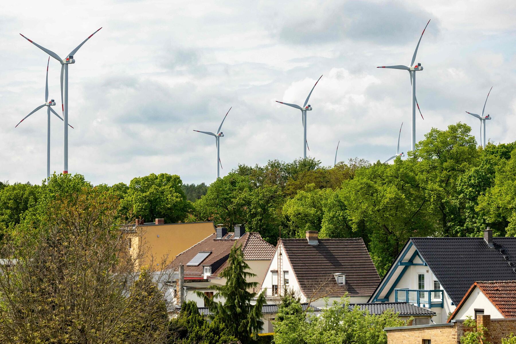 Höhere Ziele, mehr Tempo: Grüne stimmen Vorrang für die Energiewende doch zu [premium]