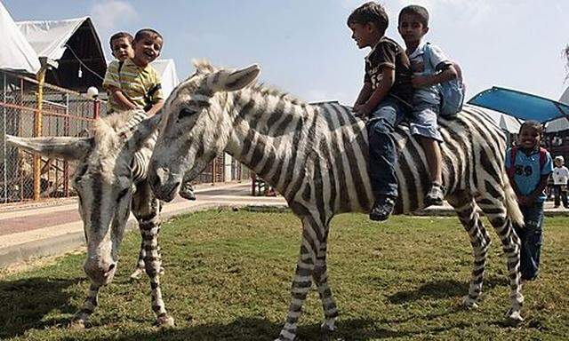 Palästinensische Kinder reiten auf einem falschen Zebra im Marah Land Zoo.