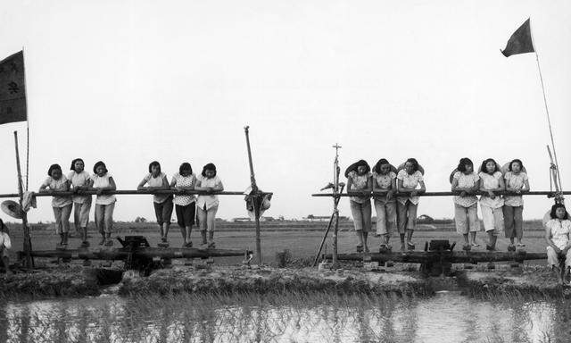 Chinesinnen einer Landwirtschaftskooperative blicken anno 1958 auf von ihnen angelegte Bewässerungsanlagen und Reisfelder. Noch schien das alles gut zu funktionieren.