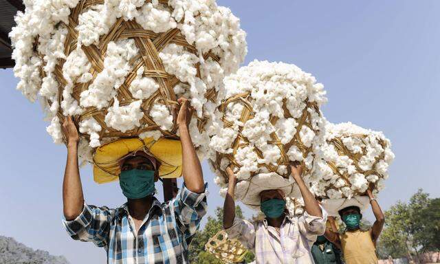 Die Baumwollpflücker im indischen Khargone stehen am Anfang der Lieferkette in der Textilindustrie. 