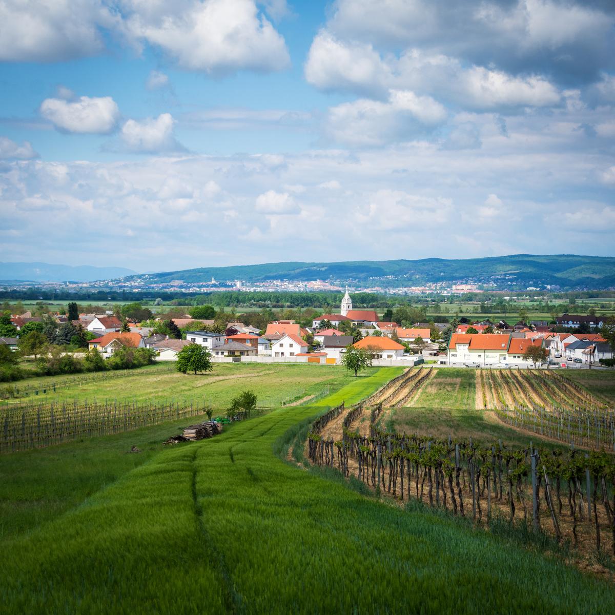 Im Burgenland sind Luxusobjekte als Zweitwohnsitz (noch) dünn gesät.