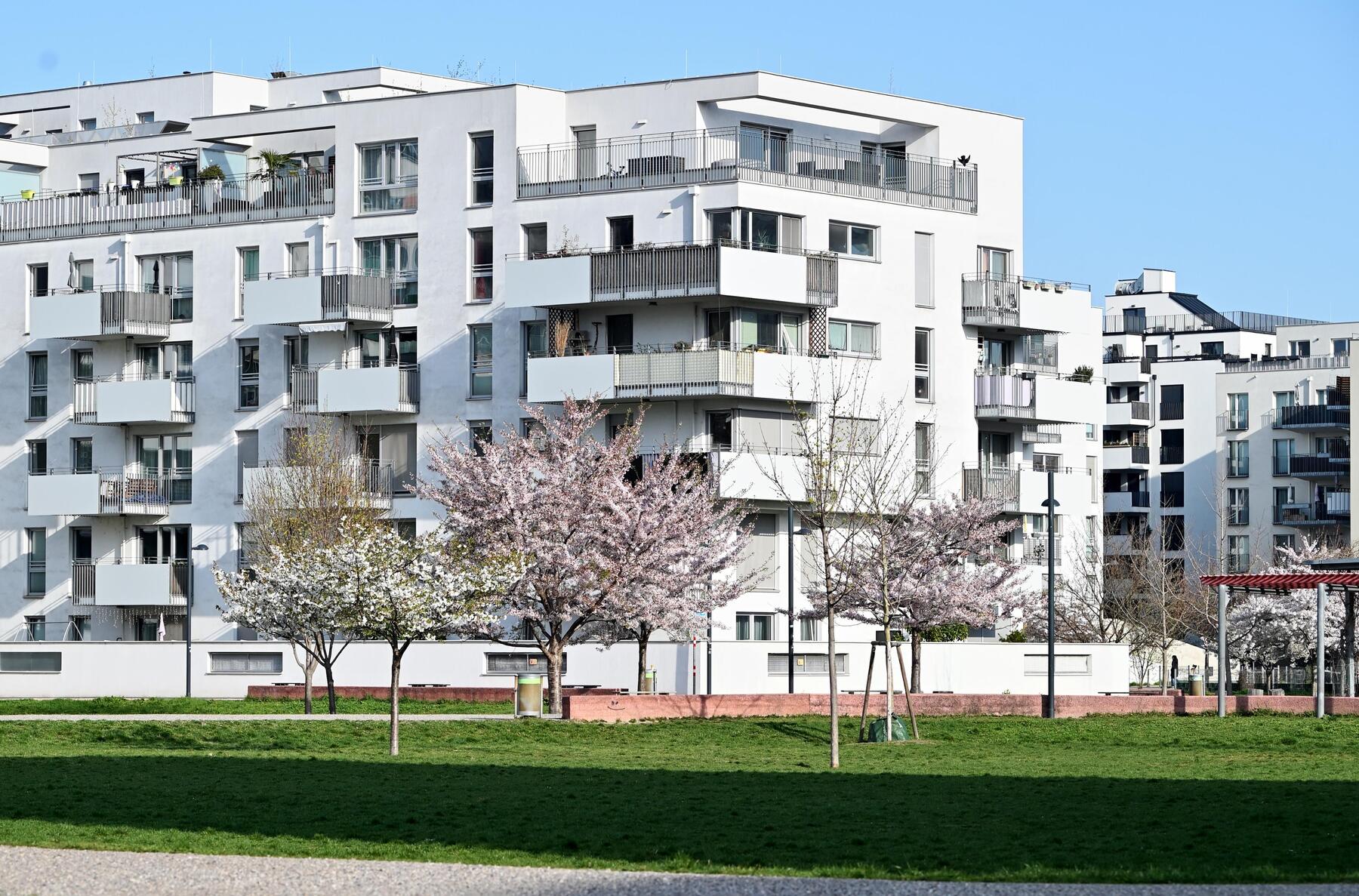 Vienna Greens' Funding Proposal Criticized as 'Label Fraud' for Housing