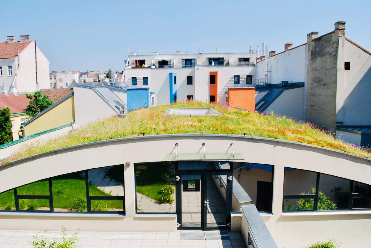 Am 6. Juni 2021 findet der "World Green Roof Day" statt und widmet sich speziell begrünten Dächern auf der ganzen Welt.