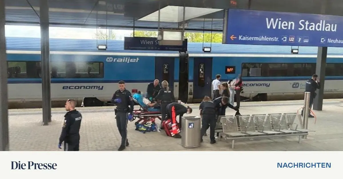 Sexueller-bergriff-in-Wiener-Zug-Identit-t-des-Verd-chtigen-gekl-rt