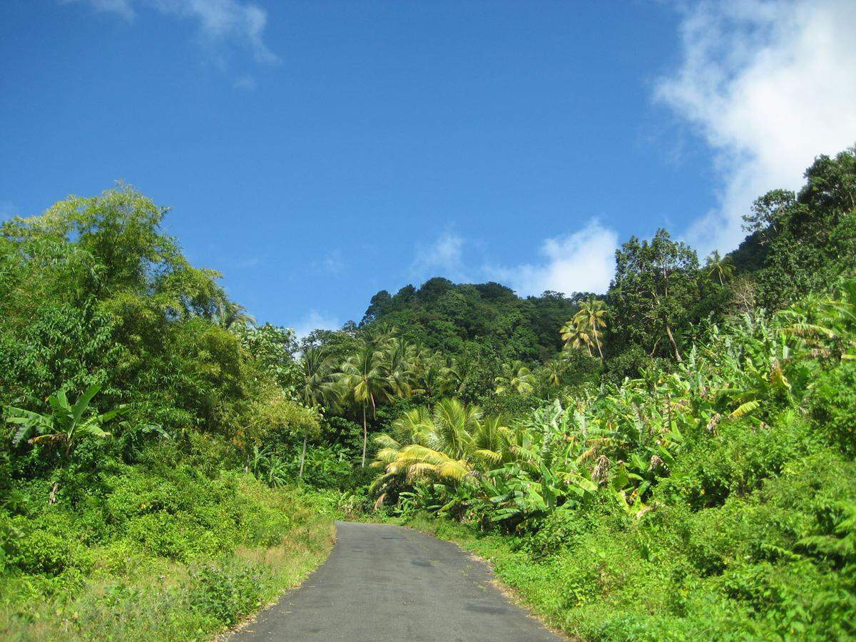 Dominica ist ein Inselchen in der Karibik, mit 75.000 Einwohnern ein eigener Staat, aber doch ganz anders als die restlichen karibischen Inseln. Nämlich schöner. Neben Strand hat sie Wasserfälle, Bergseen und Felsen, über die, wie es heißt, 365 Flüsse fließen. Weil der tropische Regenwald einen Großteil der Insel bedeckt, gilt Dominica als Ökotourismus-Insel. Als Glück hat sich bisher herausgestellt, dass auf dem Flughafen keine internationalen Flüge landen dürfen. Dominica ist nur über den Seeweg erreichbar. Nachteilig für den Tourismus ist allerdings, dass Dominica nur allzu oft mit der Dominikanischen Republik verwechselt wird