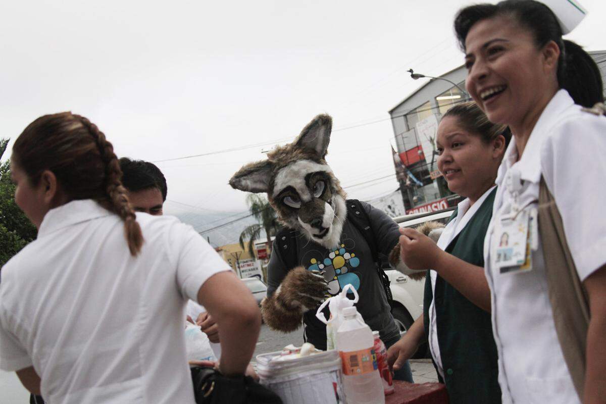 Yote unterhält sich mit Krankenschwestern bei einem Spital in Monterrey. Der Wolf erntet dafür durchaus auch Schmunzeln.
