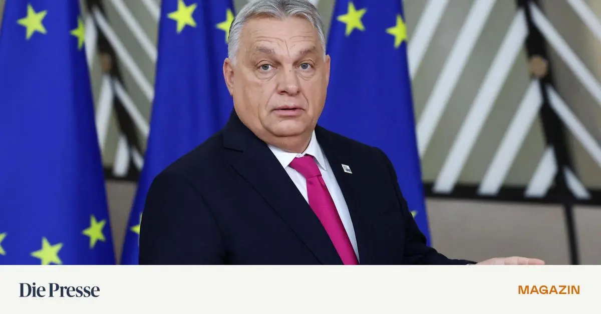 Viktor-Orb-ns-riskanter-aber-zukunftstr-chtiger-Wirtschaftskurs-premium-