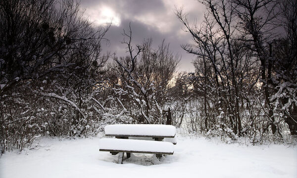 Winterlandschaft - Die Lobau, Nationalpark Donau-Auen  =
