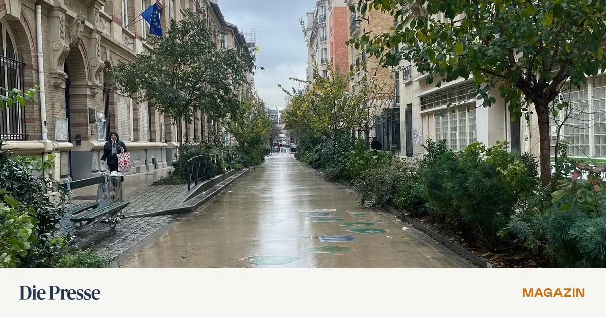 Paris-als-Klima-Vorbild-Die-Transformation-nach-dem-copy-paste-Prinzip-premium-