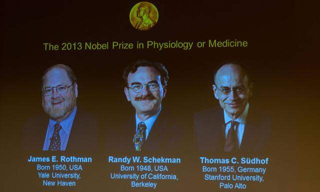 Medizin-Nobelpreis: Die Logistik der Zellen